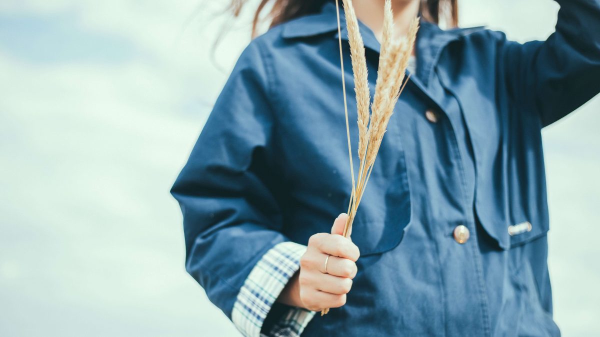 米粉と小麦粉の違いとは？違いを知って食生活をより豊かにしよう