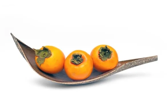 腸閉塞の原因になりやすい食べ物ランキング｜柿やこんにゃくは要注意！？