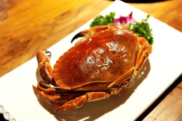 甲殻類アレルギーとは？症状や対処法を解説！貝やイカは食べられる？