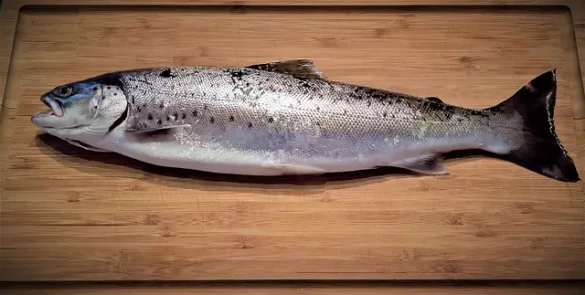 青魚アレルギーとは？魚の種類や症状を解説！さわらやぶりには要注意！