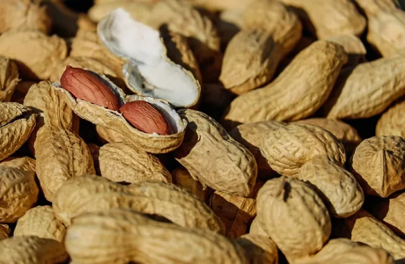 ピーナッツアレルギーとは？アーモンドは食べられる？症状や対策を解説！